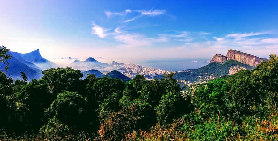 Rio: Tijuca National Park Small-Group Hike to Pedra Bonita - The 50-minute climb toward Pedra Bonita