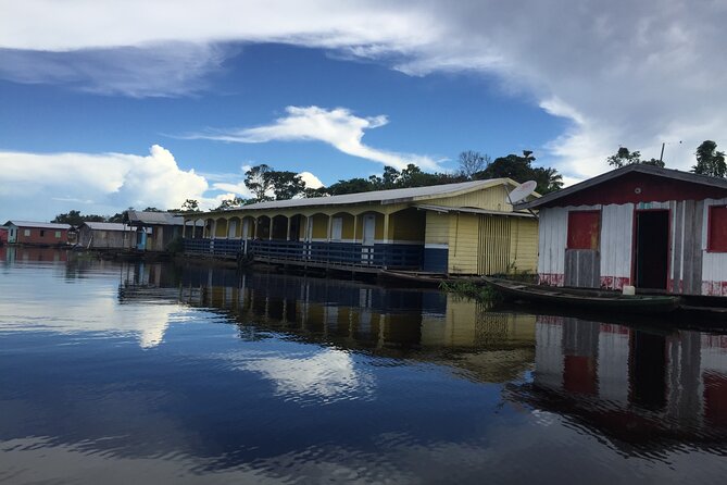 River Day Tour from Manaus - The Meeting of Waters: brown and black rivers side by side