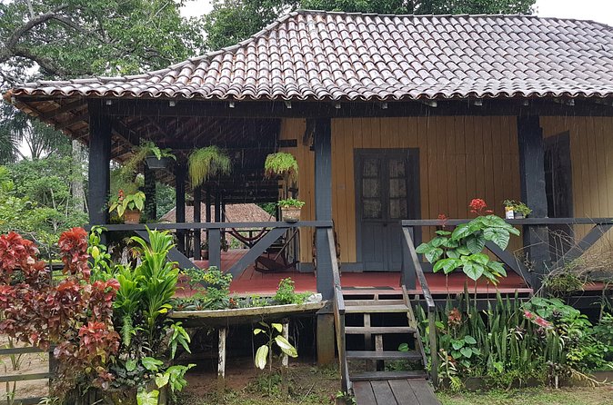 Rubber Museum from Manaus - Is $89.99 a fair price?