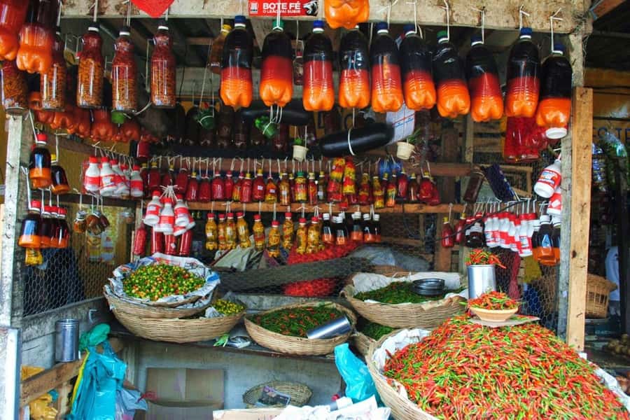 Salvador: Anthropological City Tour with Lunch IN 6 HOURS - Why this six-hour route feels different