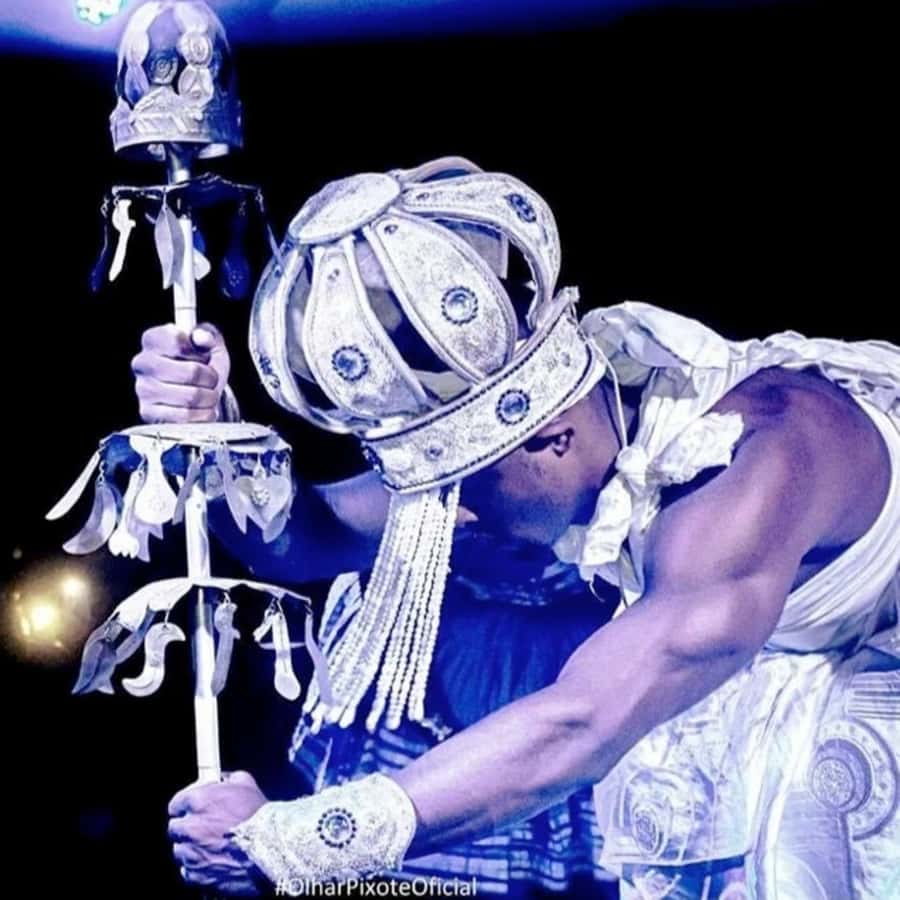 Salvador by Night: Cultural Show and Dinner. - Who will enjoy this experience most?