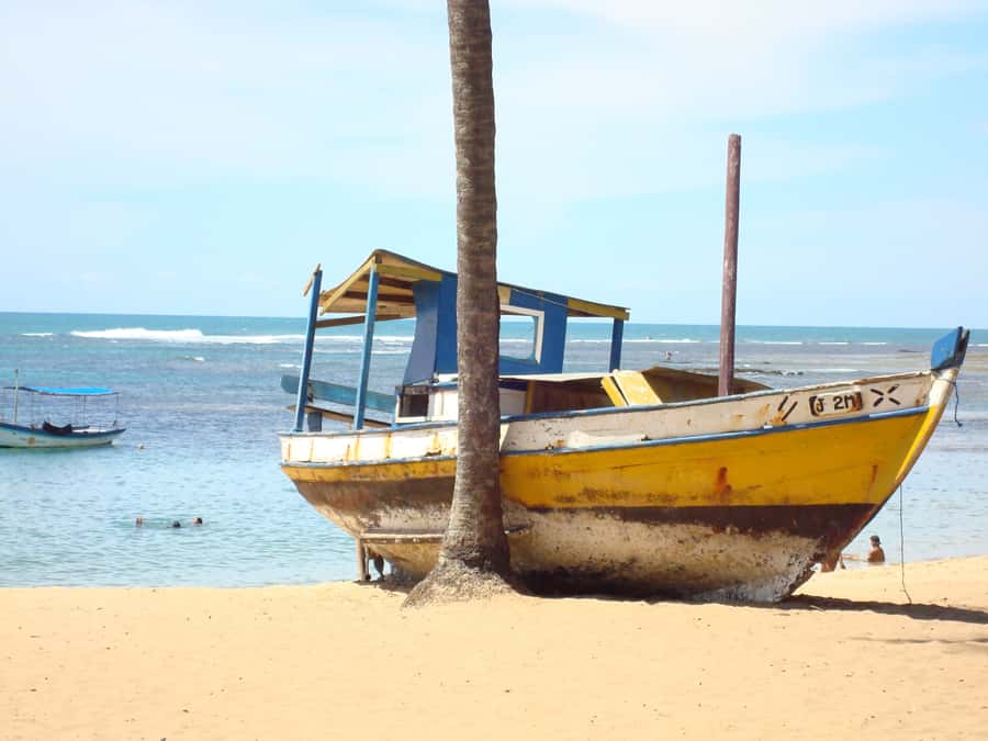 Salvador: Praia Do Forte and Guarajuba Beach Day Trip - Praia do Forte, the Brazilian Polynesia