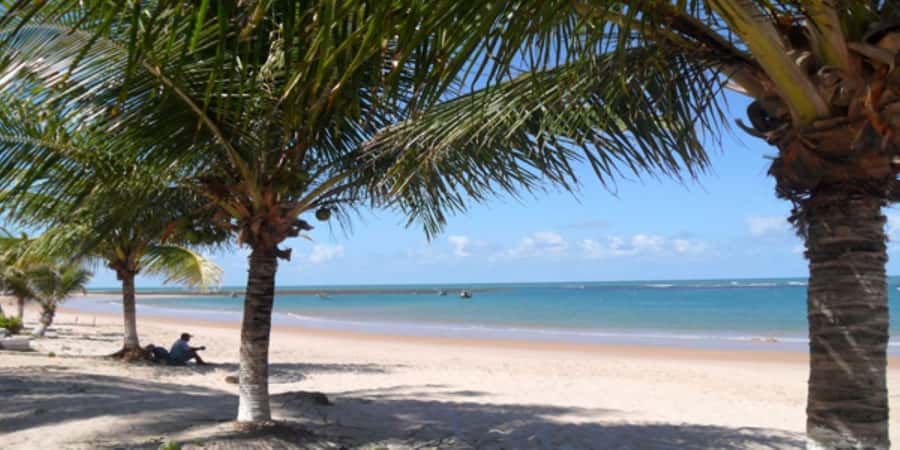 Salvador: Praia Do Forte and Guarajuba Beach Day Trip - Guarajuba Beach and calm coastal water