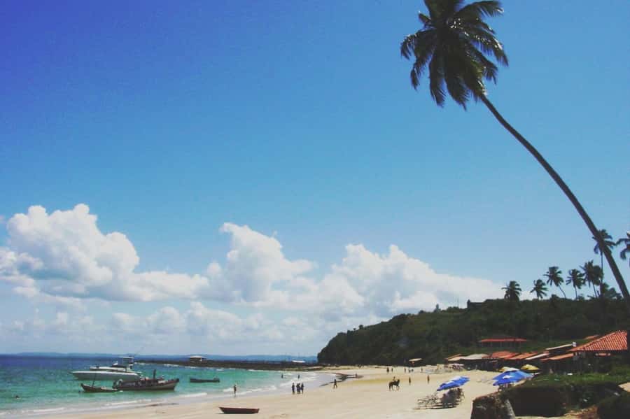 Salvador: Schooner Cruise with Pickup and Itaparica Stop - Guide languages and hotel pickup