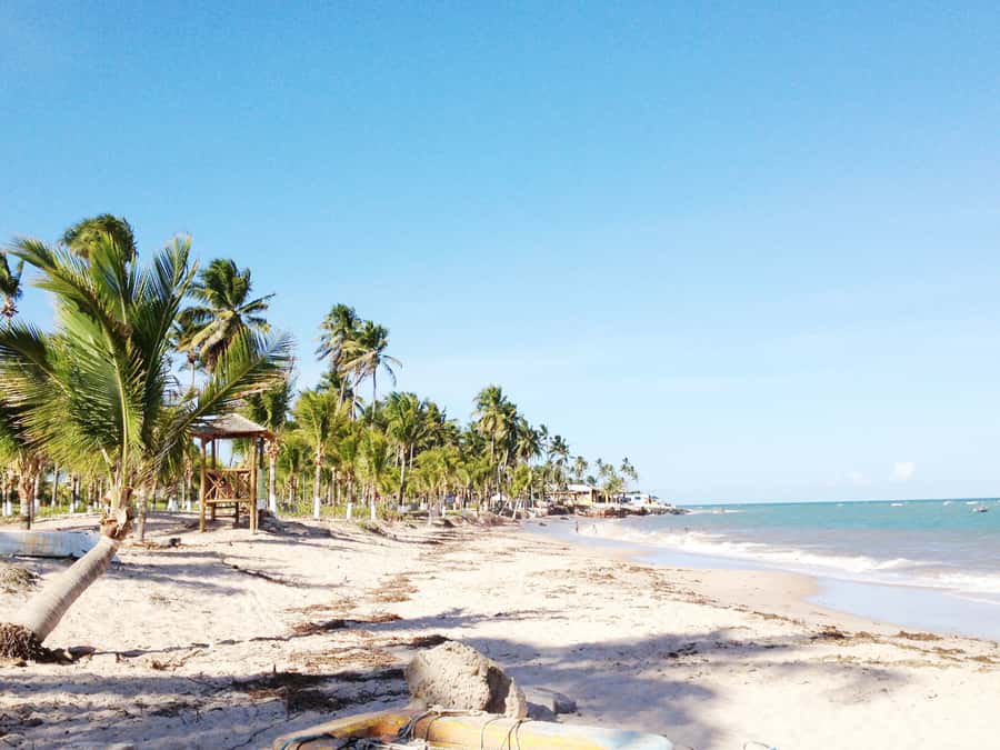 Salvador: Schooner Cruise with Pickup and Itaparica Stop - What the schooner ride is really like