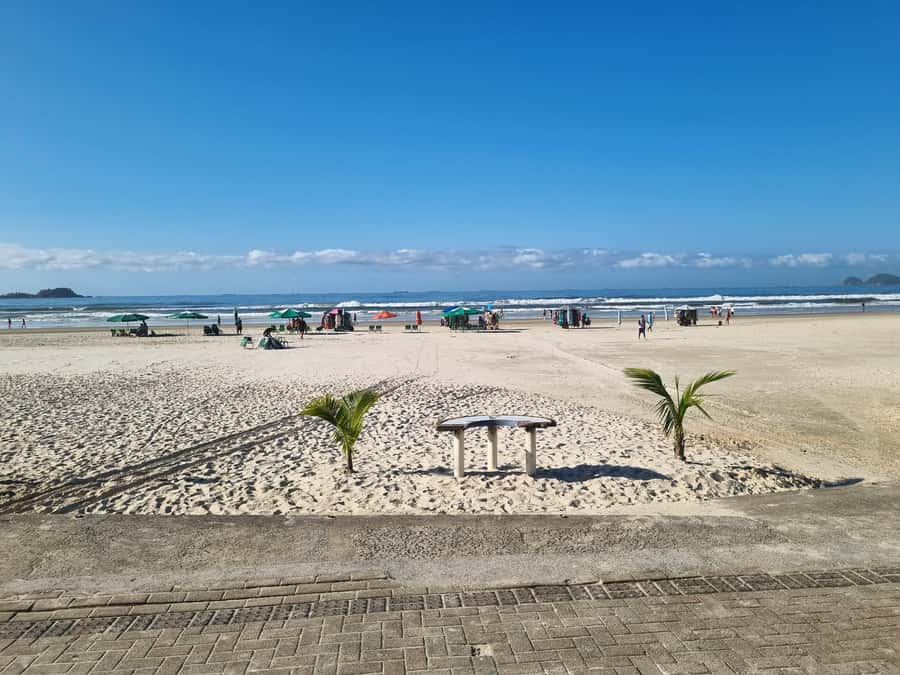 Santos & Guaruja: 8 hour Beach Tour Starting in Sao Paulo - Who should book this Santos and Guarujá outing?
