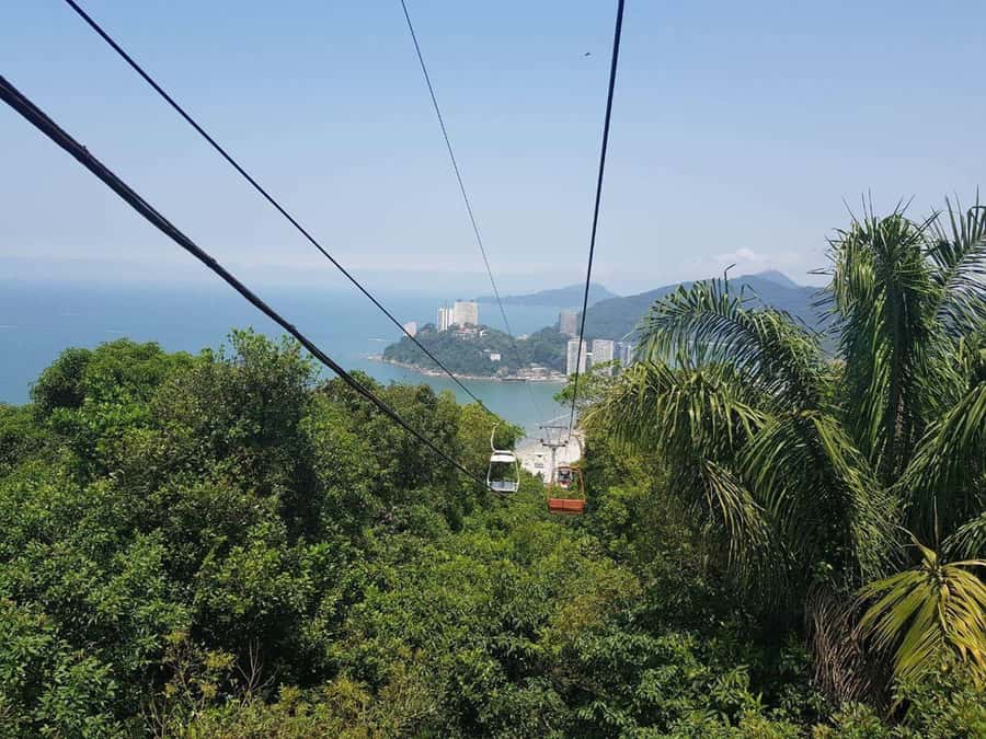 Santos Private Shore Excursion: Full Day City Experience - What the Private Format Adds for a Cruise Day
