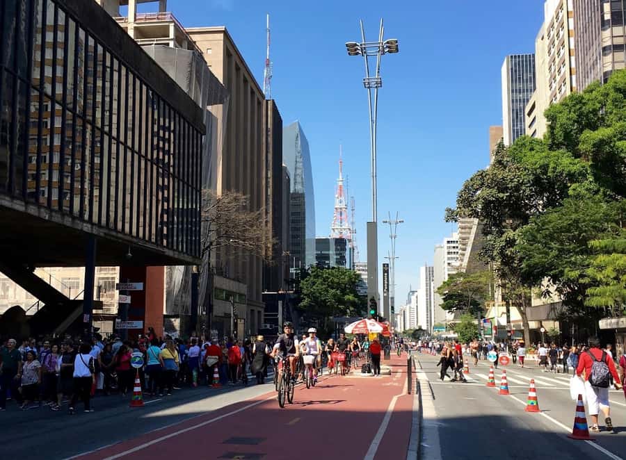 São Paulo: 5hr City Tour With Fruit Tasting - Sé Cathedral and Liberdade’s Japanese Character