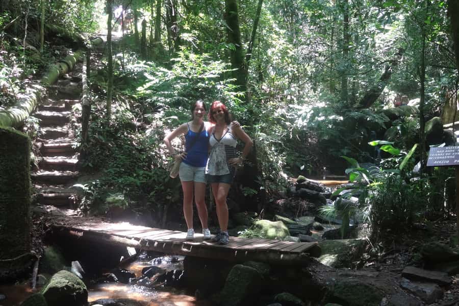São Paulo: Cantareira Natural Park Guided Rainforest Hike - Starting at the main camp