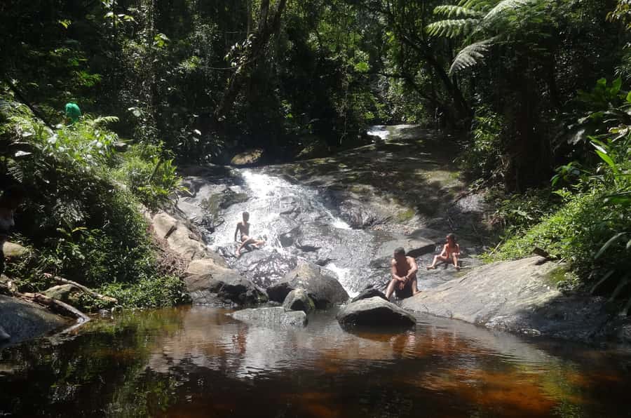 São Paulo: Cantareira Natural Park Guided Rainforest Hike - The 8-kilometer route at Núcleo Pedra Grande