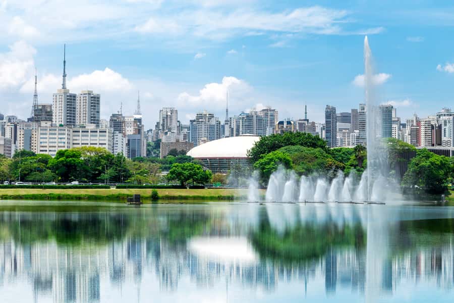 São Paulo: Classic Half-Day Private Sightseeing Guided Tour - Paulista Avenue shows São Paulo’s modern face