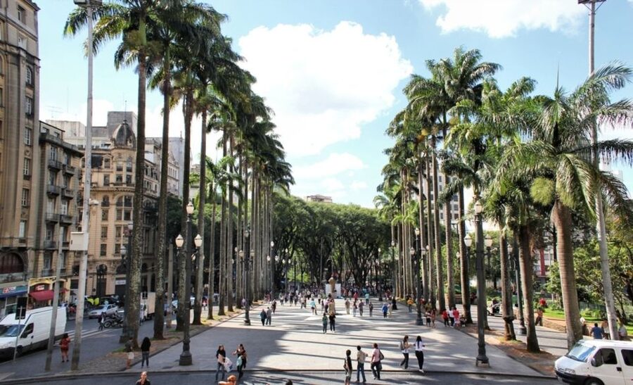 São Paulo: Full-Day Guided City Tour from the Port of Santos - What the private format is worth at $675