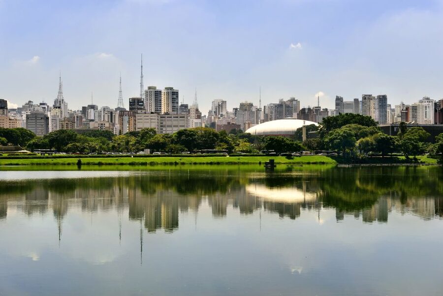 São Paulo: Full-Day Guided City Tour from the Port of Santos - The Serra do Mar road sets the tone