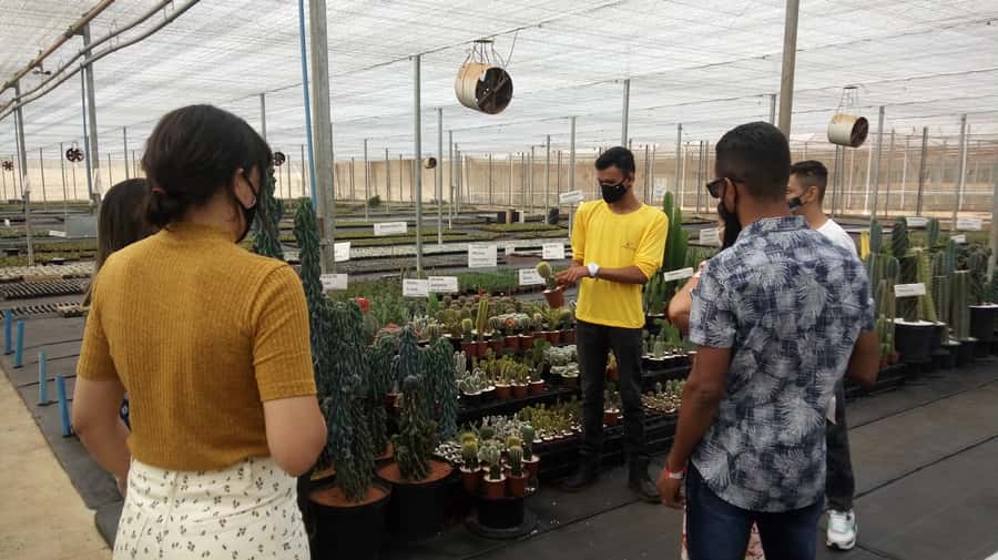 São Paulo: Holambra Colorful Flower Farm Guided Day Trip - Why Holambra Makes a Good Day Trip From São Paulo