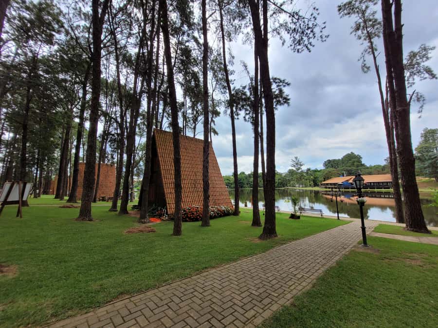 São Paulo: Holambra Colorful Flower Farm Guided Day Trip - FAQ
