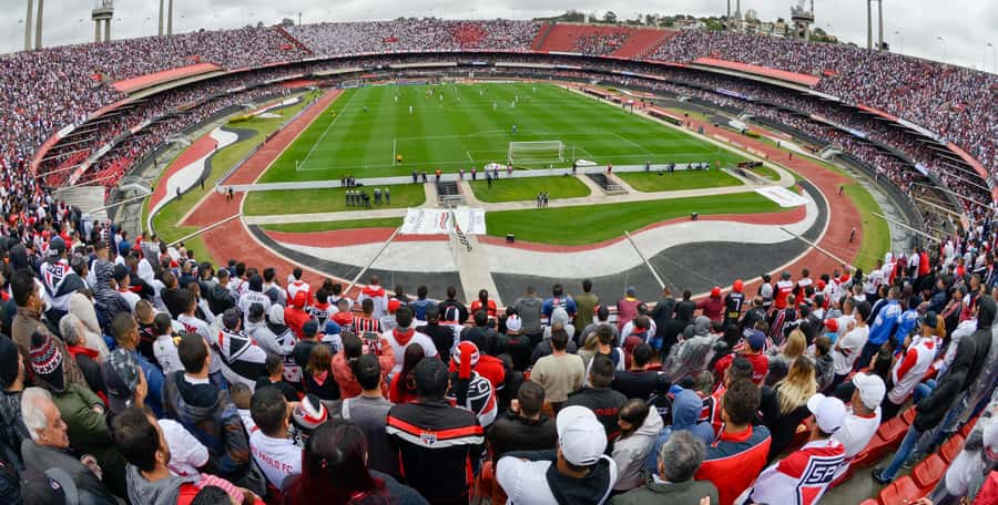São Paulo: Join a São Paulo football game with a local fan - Key points before you book