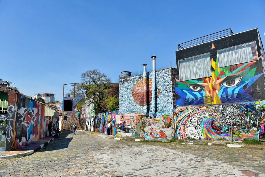 São Paulo: Layover Private Tour from GRU Airport - Liberdade, Paulista Avenue, and Ibirapuera Park