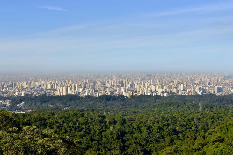 São Paulo Private Half Day Ecotour - Key points at a glance