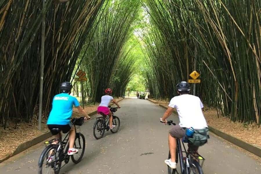 Sao Paulo: The Coolest Urban Scenes Bike Tour - Why this bike tour works in São Paulo