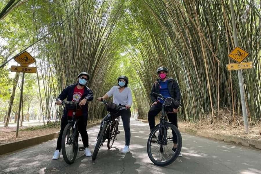 Sao Paulo: The Coolest Urban Scenes Bike Tour - Jardins reveals São Paulo’s polished side