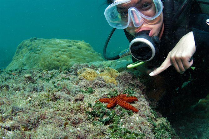 Scuba Diving in Rio de Janeiro - Leaving Rio before sunrise