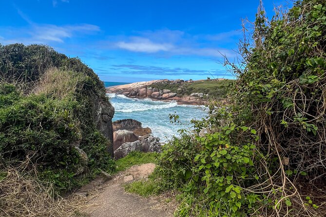 Secret Island Adventure: Gravata Trail, Floripa - Why Gravata Trail makes a good Florianópolis outing