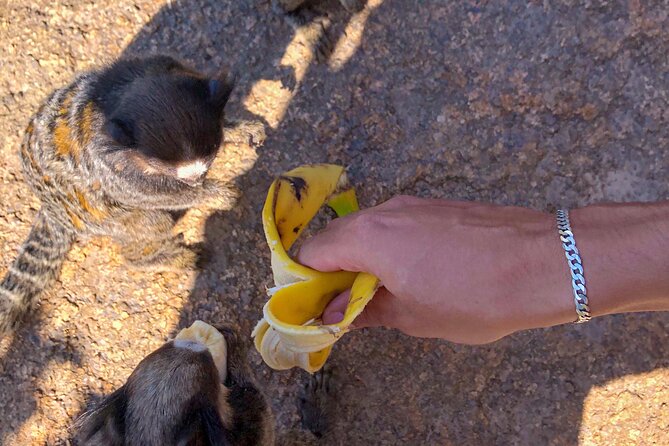 Secret Island Adventure: Gravata Trail, Floripa - Forty-five minutes at the beach
