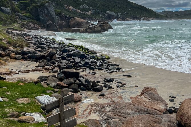 Secret Island Adventure: Gravata Trail, Floripa - A mountaintop picnic with binocular views