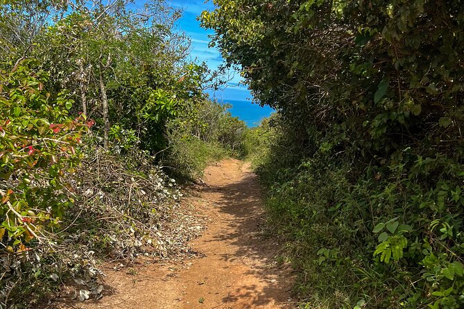 Secret Island Adventure: Gravata Trail, Floripa - Is $55 a good value?