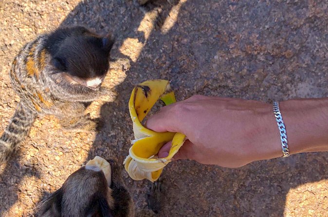 Secret Island Adventure: Gravata Trail, Floripa - Weather, footwear, and what to bring