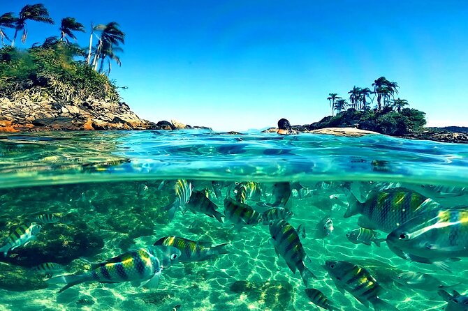 Shared Speedboat Tour - Paradise Island Tour - Praia da Piedade: church, sandbar, and quiet water
