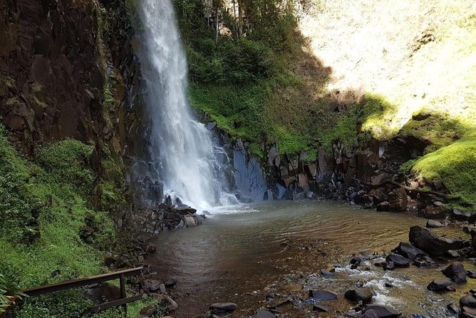 Skip the Line: Cassorova Resort and Ecotourism - Quatis Waterfall and the longer forest walk