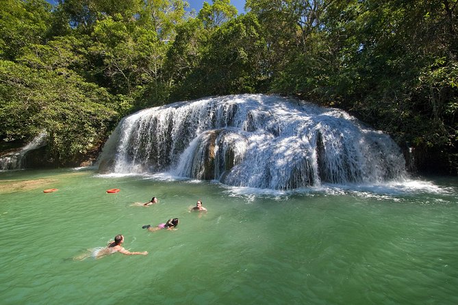 Skip the Line: Estancia Mimosa Admission Ticket - Following the Mimoso River through the forest