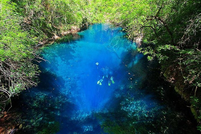 Skip the Line: Lagoa Misteriosa Admission Ticket with Scuba Diving Experience - What happens during the underwater experience