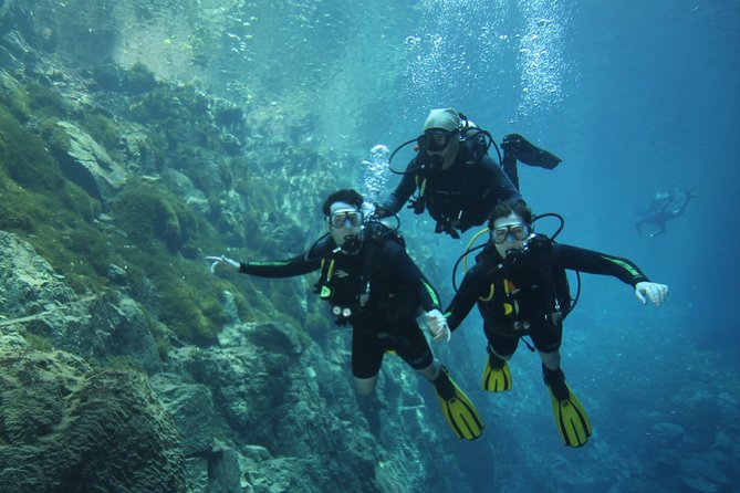 Skip the Line: Lagoa Misteriosa Admission Ticket with Scuba Diving Experience - The $127.53 price and what it covers