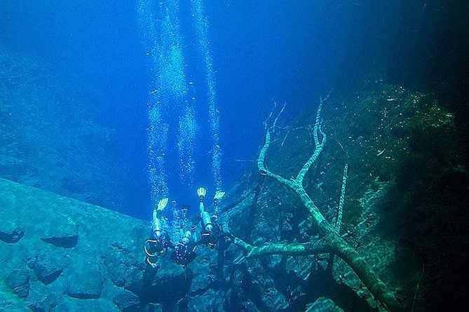 Skip the Line: Lagoa Misteriosa Admission Ticket with Scuba Diving Experience - The route from forest path to water