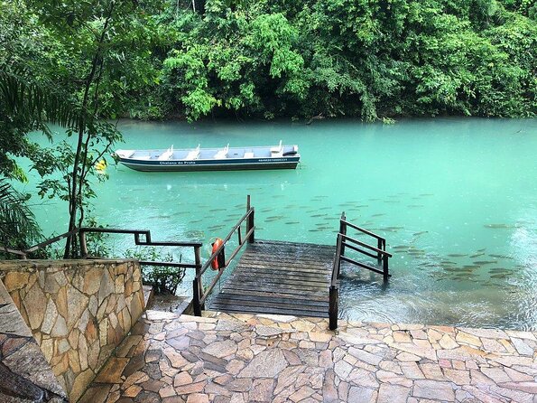 Skip the Line:Recanto Ecologico Rio da Prata Ticket including Trail & Snorkeling - The trail sets up the water experience