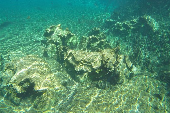 Skip the Line:Recanto Ecologico Rio da Prata Ticket including Trail & Snorkeling - Fish, springs, and a very clear river