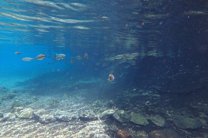 Skip the Line:Recanto Ecologico Rio da Prata Ticket including Trail & Snorkeling - Is the $117.72 price fair?