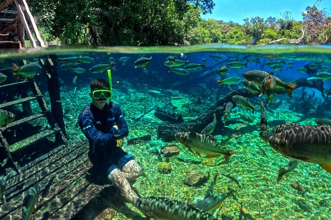 Skip the Line:Recanto Ecologico Rio da Prata Ticket including Trail & Snorkeling - Floating through the Olho d’Água River