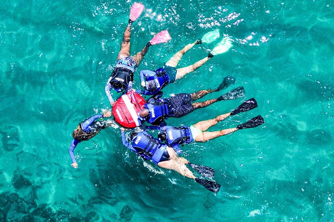 Snorkel Dive with Turtles - Quick points before you book