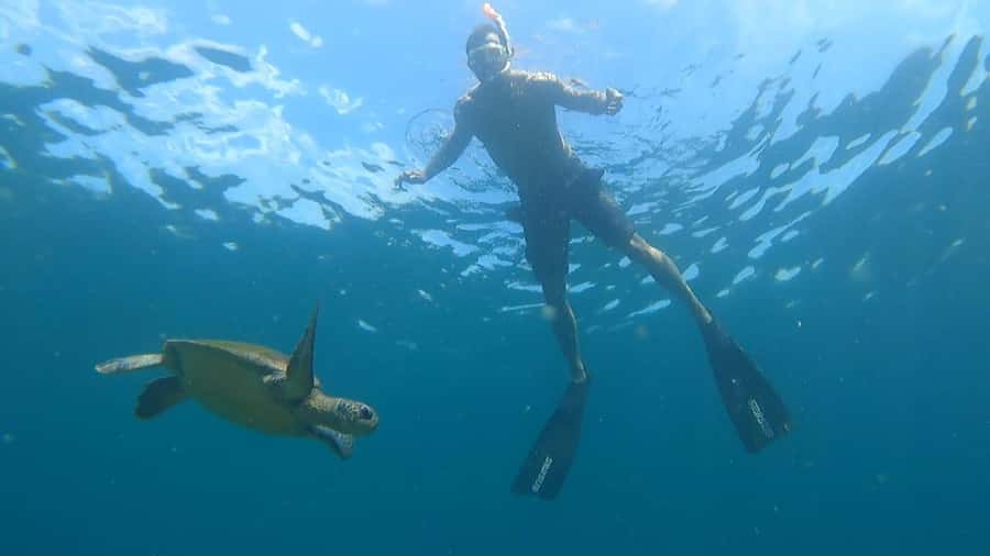 Snorkeling with turtles in their natural habitat - A short boat ride to Freguesia de Santana