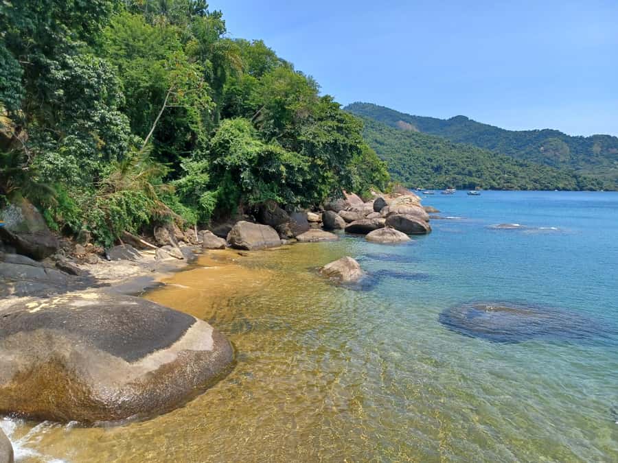 Snorkeling with turtles in their natural habitat - Lunch at Saco de Céu, with your feet near the sand