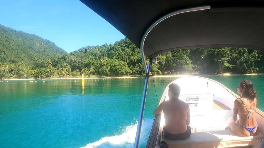 Snorkeling with turtles in their natural habitat - Why the guide can make or break the experience