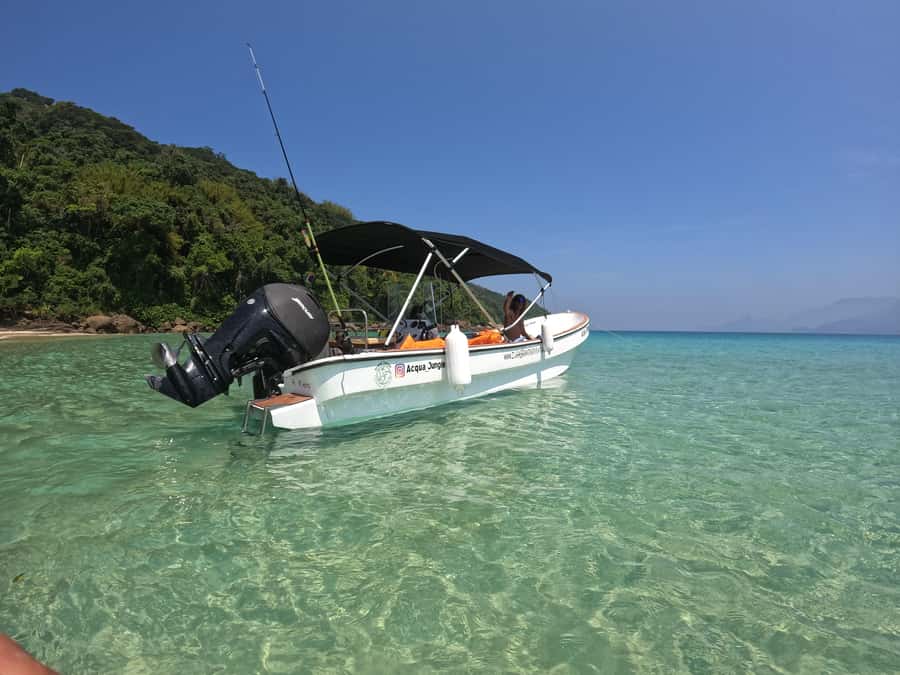 Snorkeling with turtles in their natural habitat - Who will get the most from this tour