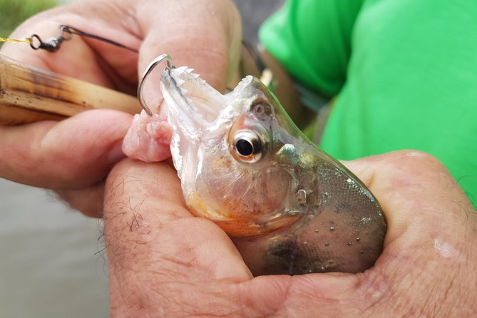 Solimoes River Piranha Fishing and Alligator Watching Tour - Leaving Manaus for the Iranduba riverbanks