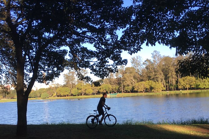 Street Art and Park Bike Tour - What the $85 price really covers