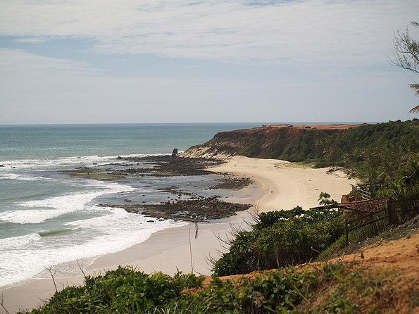 Sun and Fun at Pipa Beach: Day Tour from Natal - Key Points Before You Book