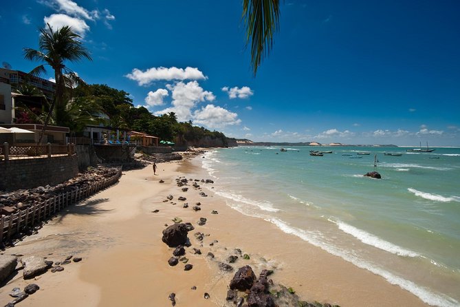 Sun and Fun at Pipa Beach: Day Tour from Natal - Baia dos Golfinhos and the Tide Question