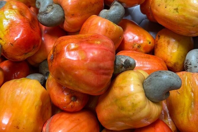 Taste Tropical Brazilian Fruits at a Market in Fortaleza - Starting at a Fortaleza market
